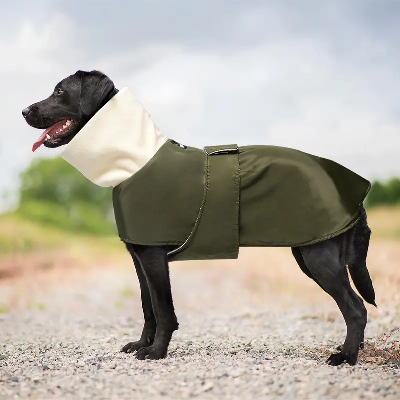 Winter Pet Clothes, Thickened Warm Dog Coat, Reflective Thermal Lined Dog Jacket, Pet Clothes for Large Dogs, Dog & Cat Clothing Supplies 0