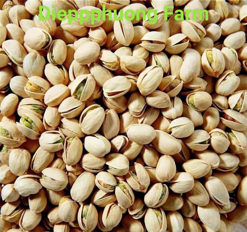  500gram HẠT DẺ CƯỜI KHÔNG TẨY Snack Food Nuts Ăn Vặt Thức Ăn 
