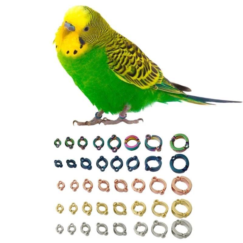 Product Introduction of Parrot Foot Rings Metal Pet Bird Leg Rings Outdoor Fly Training Activity Anti-Lost Opening Clip Leash Accessories 4-15mm 4
