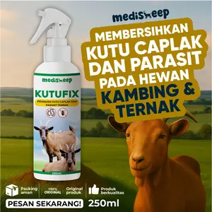 Kutufix – Solusi Ampuh untuk Kutu, Tungau & Masalah Kulit Kambing