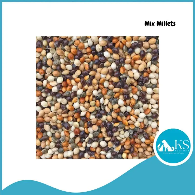 Casual  Mix Millet 1kg Bird Feed Food Diet