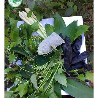 1 GÓI LÁ THƠM GỘI ĐẦU OGATIC. 4