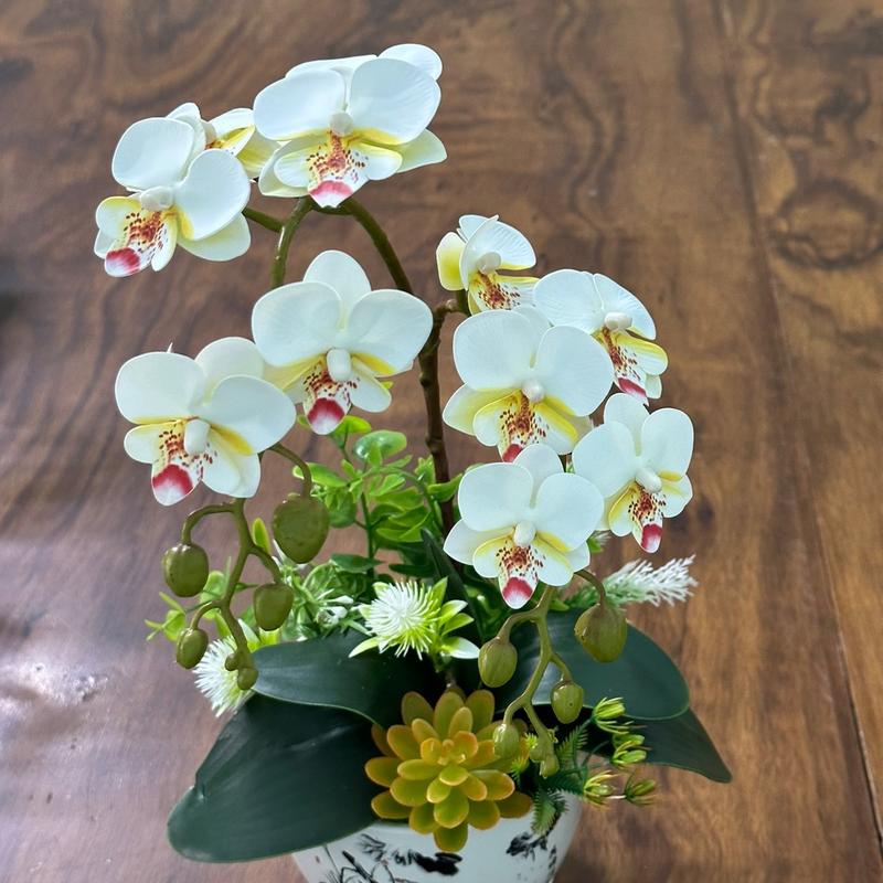 Chậu hoa LAN TIỂU HỒ ĐIỆP (CHẬU SỨ) cao su nhân tạo cắm sẵn cao 47cm trang trí nhà cửa, văn phòng siêu xinh Decor Decor Phòng