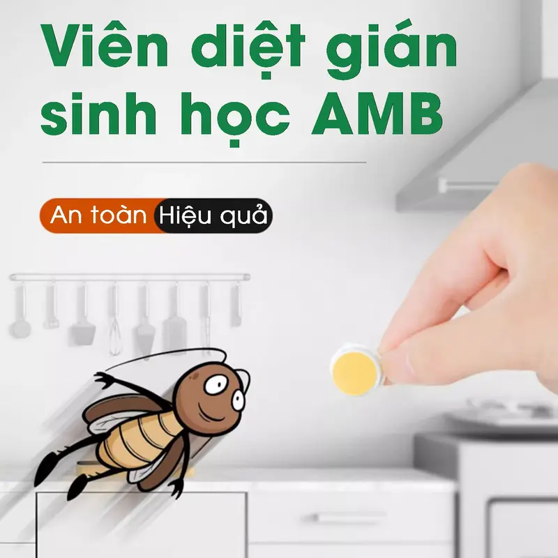 Viên trị gián sinh học AMB, Viện Hàn lâm khoa học Việt Nam, diệt tận gốc tất cả các loại gián, hiệu quả, an toàn Nhang xịtổgián Household Cleaners vien  xa 6