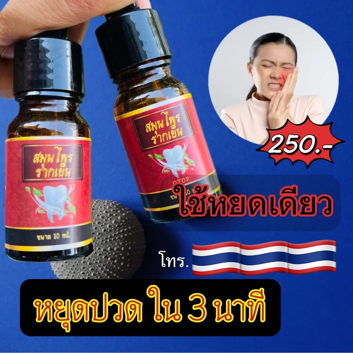 สมุนไพร รากเย็น จัดส่งเร็ว 1 วัน 250 บาท ปวดฟันผุ - ปาก