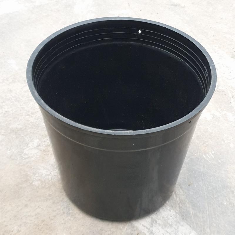 Chậu nhựa đen cứng cao cấp SIZE LỚN 2