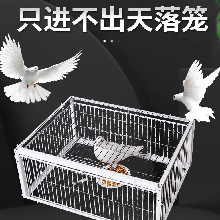 Lồng Chim Bồ Câu Lồng Tianluo, Hàng Mới Về, Mã Hóa Dày, Thu Bồ Câu Tự Động, Dụng Cụ Hữu Ích, Cửa Hoạt Động, Chống Va Đập, Sử Dụng Ngoài Trời, Chỉ Vào Không Thể Thoát lồng  kính