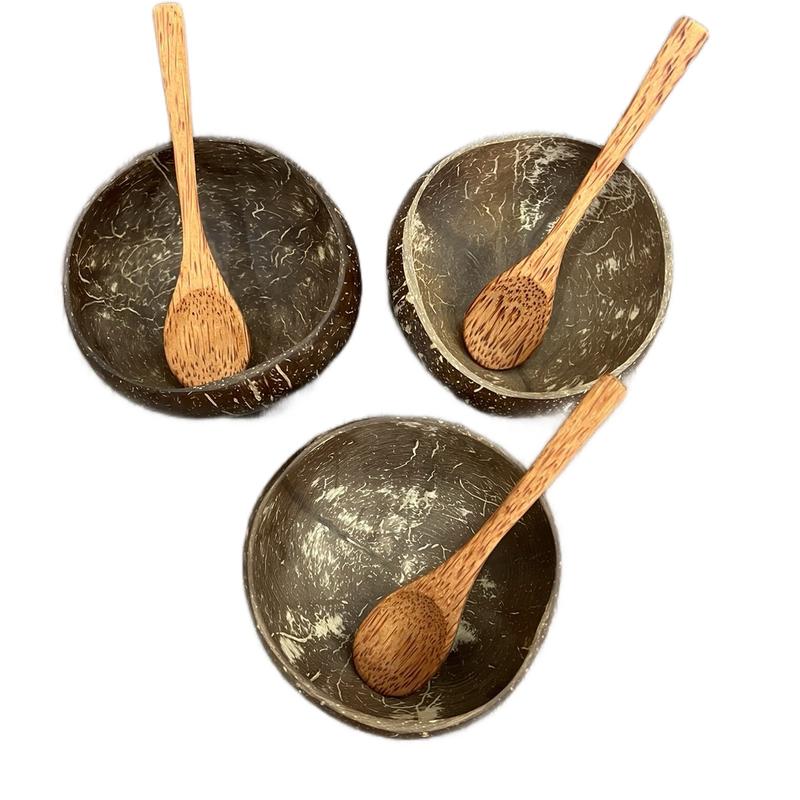  Bộ bát gáo dừa và muỗng gỗ dừa tự nhiên an toàn 