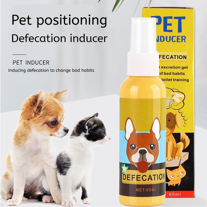 Dog toilet inducer urinary and defecation positioning fixed-point ...