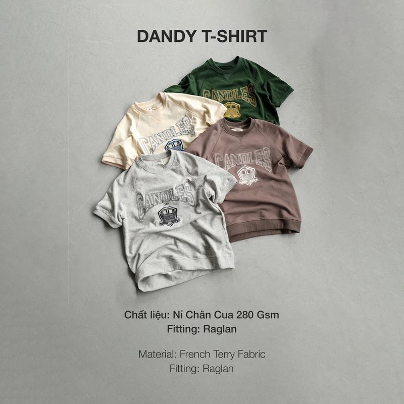 Product Introduction of Áo thun Candles Dandy Oversize Tee Unisex 2