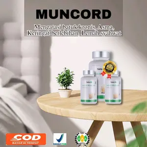 Herbal China TCM - Tianshi Muncord Capsule Original