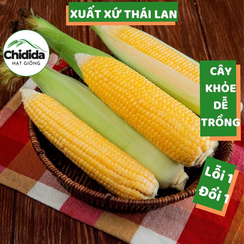 Hạt giống ngô ngọt Thái Lan ngọt thơm dẻo trái to hạt bắp mỹ nảy mầm cao cây khỏe Hạt giống Chidida