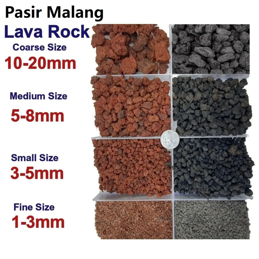 Lava Rock (Red/black) Malang Sand Cactus/Succulent/Aquarium/Volcanic ...