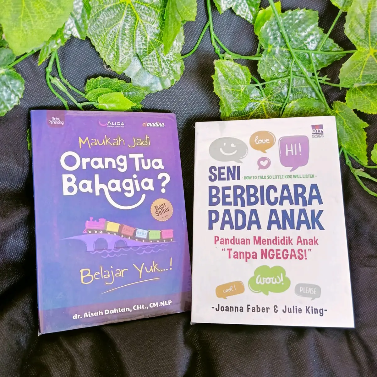 2 buku berjudul " maukah menjadi orang tua bahagia,seni berbicara pada anak "