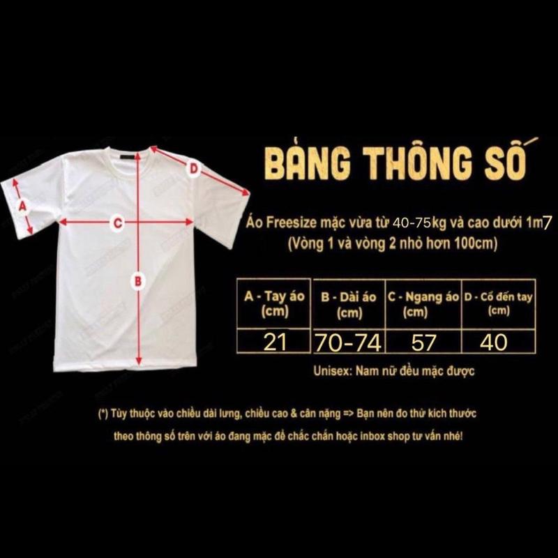 Product Introduction of Áo Phông cotton 2 chiều mịn mát - chữ Acmi.lade vee in nổi 2 mặt (Free size 40-70kg) 0