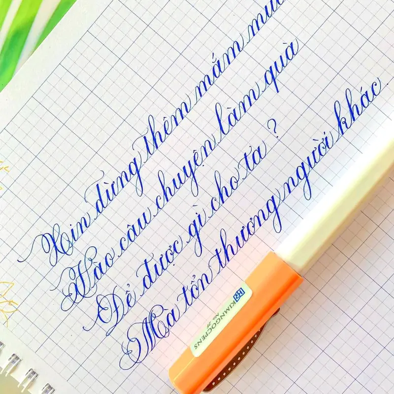 Bút máy Kimngocpens No 2F ngòi lá tre thanh đậm 4
