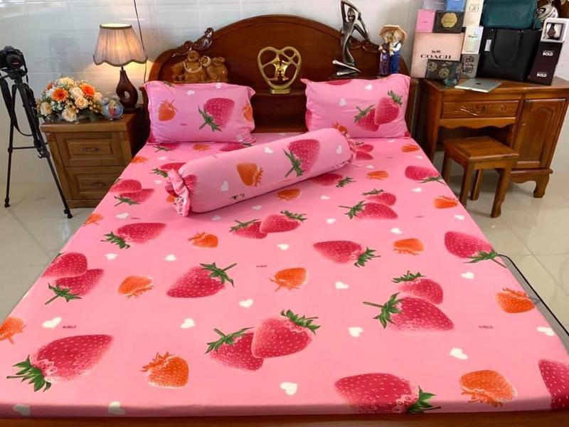 Bộ ga thun Hàn quốc mẫu dâu 1
