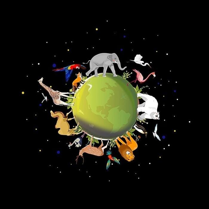 Orzorz Star Galaxy Projector Disc | Cocok untuk Pococo | Saturn | Moon