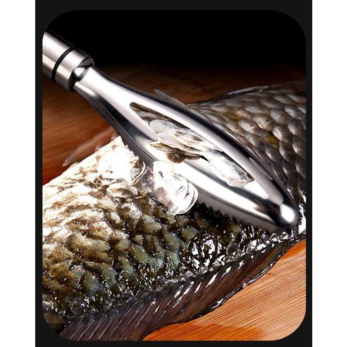Gambar Alat Pembersih sisik ikan Stainless Steel 304 fish scale planer dari Mail Living Kab. Bandung Tokopedia