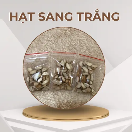 Combo 3 gói hạt sang trắng tán bột+ 1 gói táo đỏ