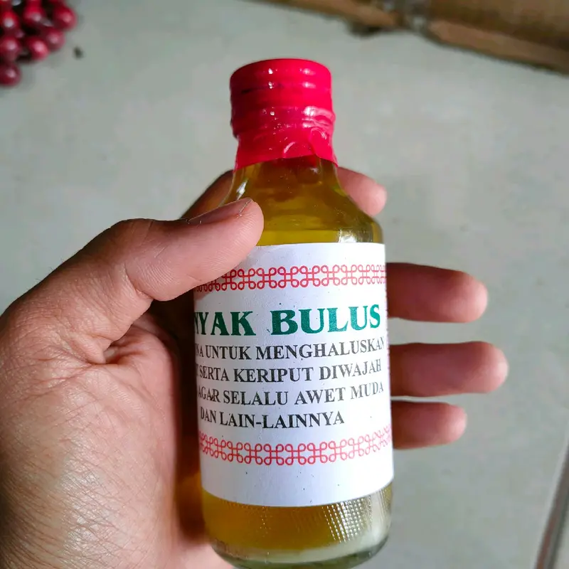 Minyak Bulus Kalimantan Menghaluskan Kulit 0