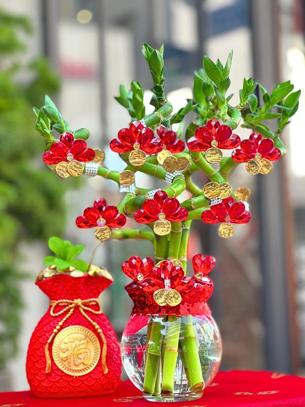 M08 CHẬU PHÁT TÀI ĐẦU RỒNG 6 CÂY THIẾT KẾ ĐÍNH ĐÁ 35CM Decor Decor Phòng