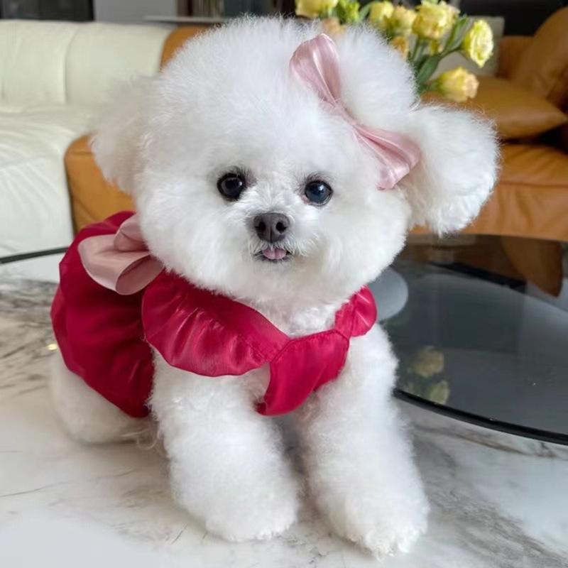 Product Introduction of thingin New Big Bow Summer Pet Clothes Soft Thin Pet Dog Skirt Elastic Pet Supplies Pet Princess Dress 19