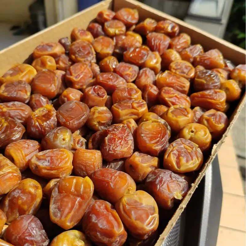 Kurma Sukari Alqasim 3kg premium  Kurma Raja Sukkari Original Saudi Dates Manis 2
