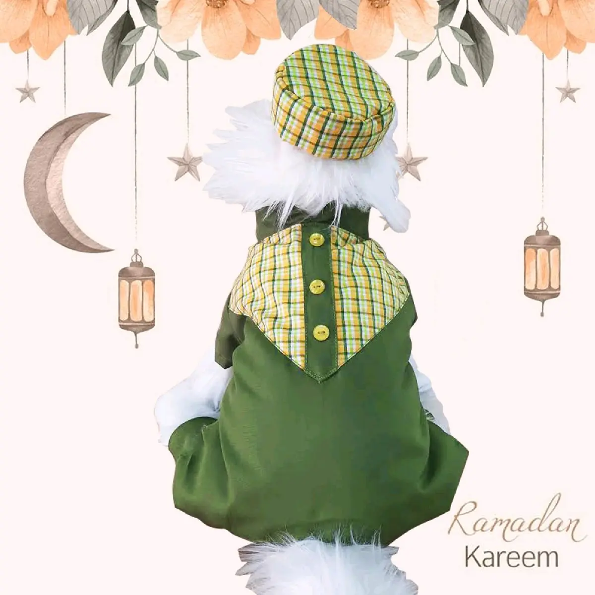 Baju Jumpsuit Koko Anjing Kucing Hijau Ramadhan Edition