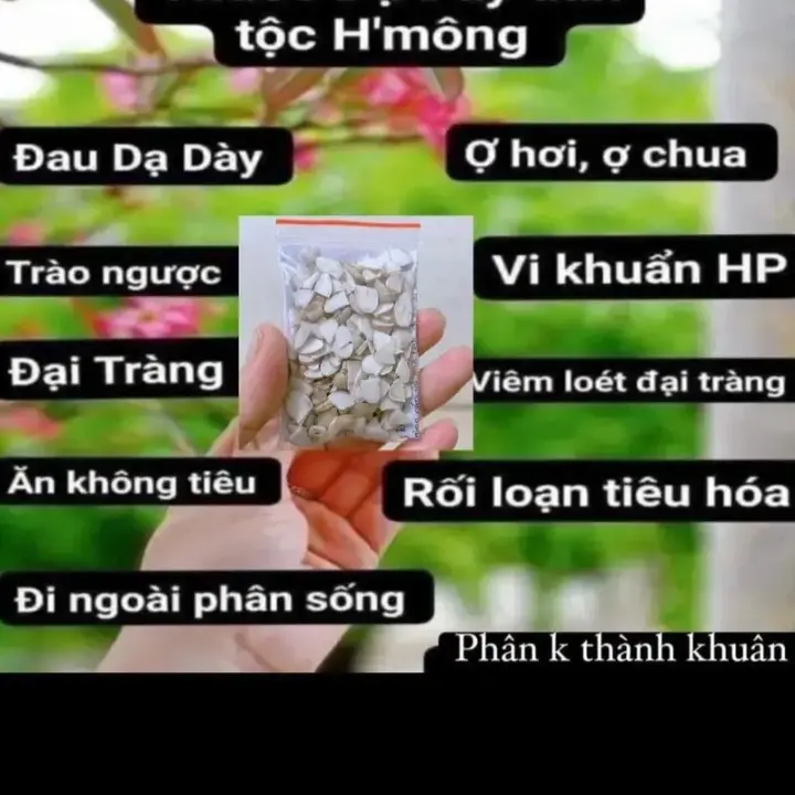 2 gói 100k hạt sang trắng Tây Bắc cắt lát, tốt cho dạ dày, đại tràng