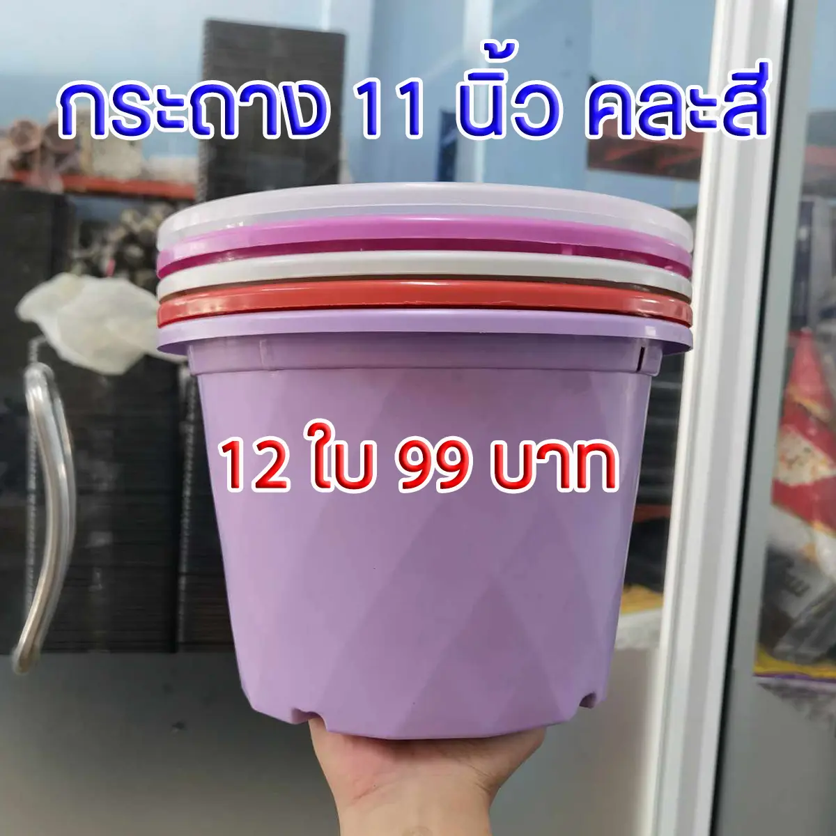 กระถางเพชร 1 โหล สวยมาก หละสี 2 ขนาด 8 นิ้ว และ 11 นิ้ว