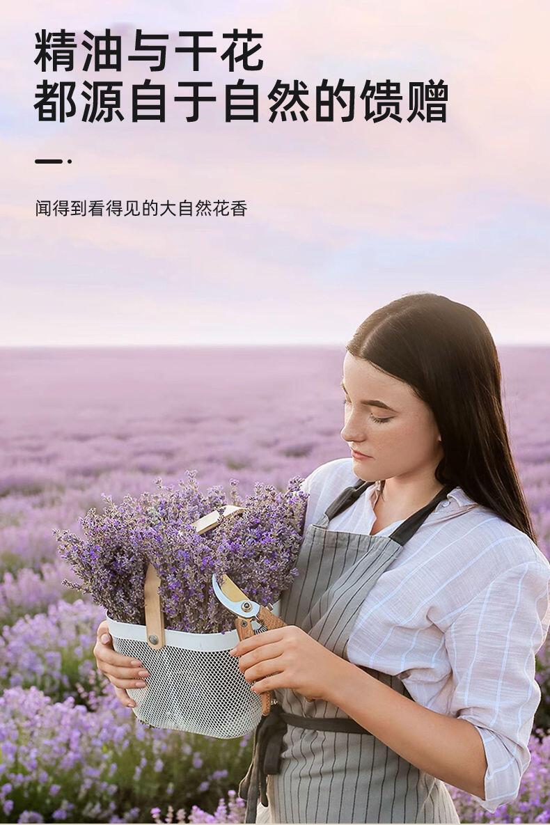 Product Introduction of Automatic Aroma  Room Air  Long  Room  Retention  Toilet Air Freshness Diffuser 6
