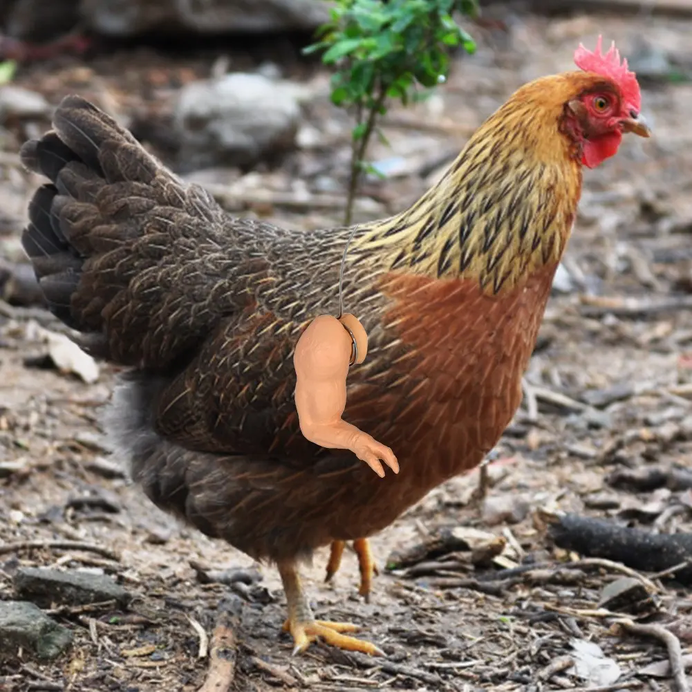 3 pairs of chicken figurines, chicken forelimb figurines, dinosaur pet props