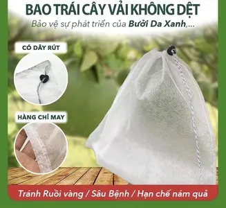 50 CÁI TÚI SIZE 30X35cm dùng bọc BƯỞI, DƯA LÊ, chùm mận dùng nhiều mùa_túi bao trái cây cao cấp ánh dương túi bọc tuiboctraicay tuibaotraicay