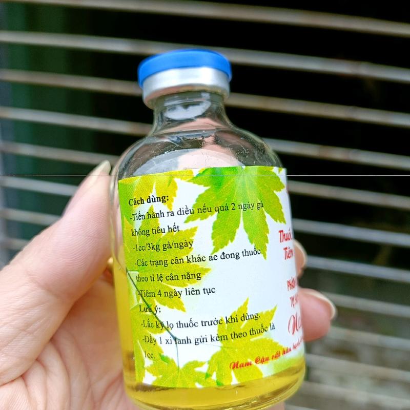phân xanh phân trắng tụ huyết trùng nam cận 5