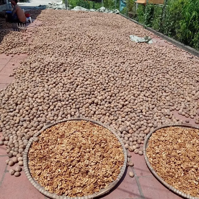 1KG HẠT ÓC CHÓ TÁCH VỎ KHÔ NHÀ LÀM Nuts Ăn Vặt hạtdinhduong 0
