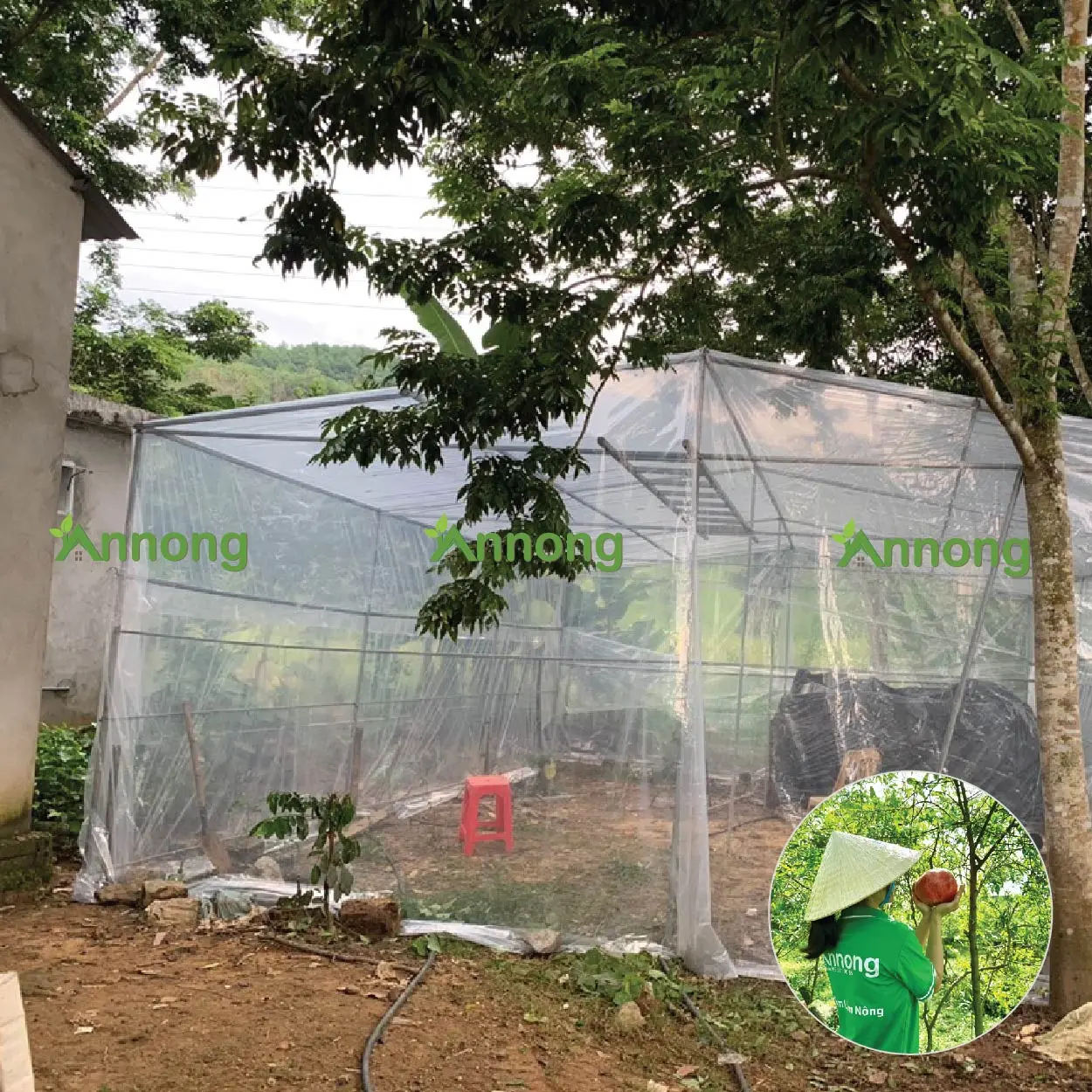 GIÁ SỈ nguyên cuộn lưới ngăn côn trùng, rộng 1m đến 4m, chiều dài 45/50m mỗi cuộn