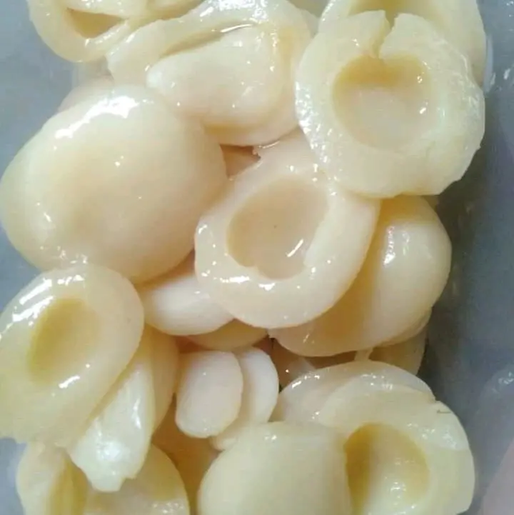 manisan salak bali bundakembar