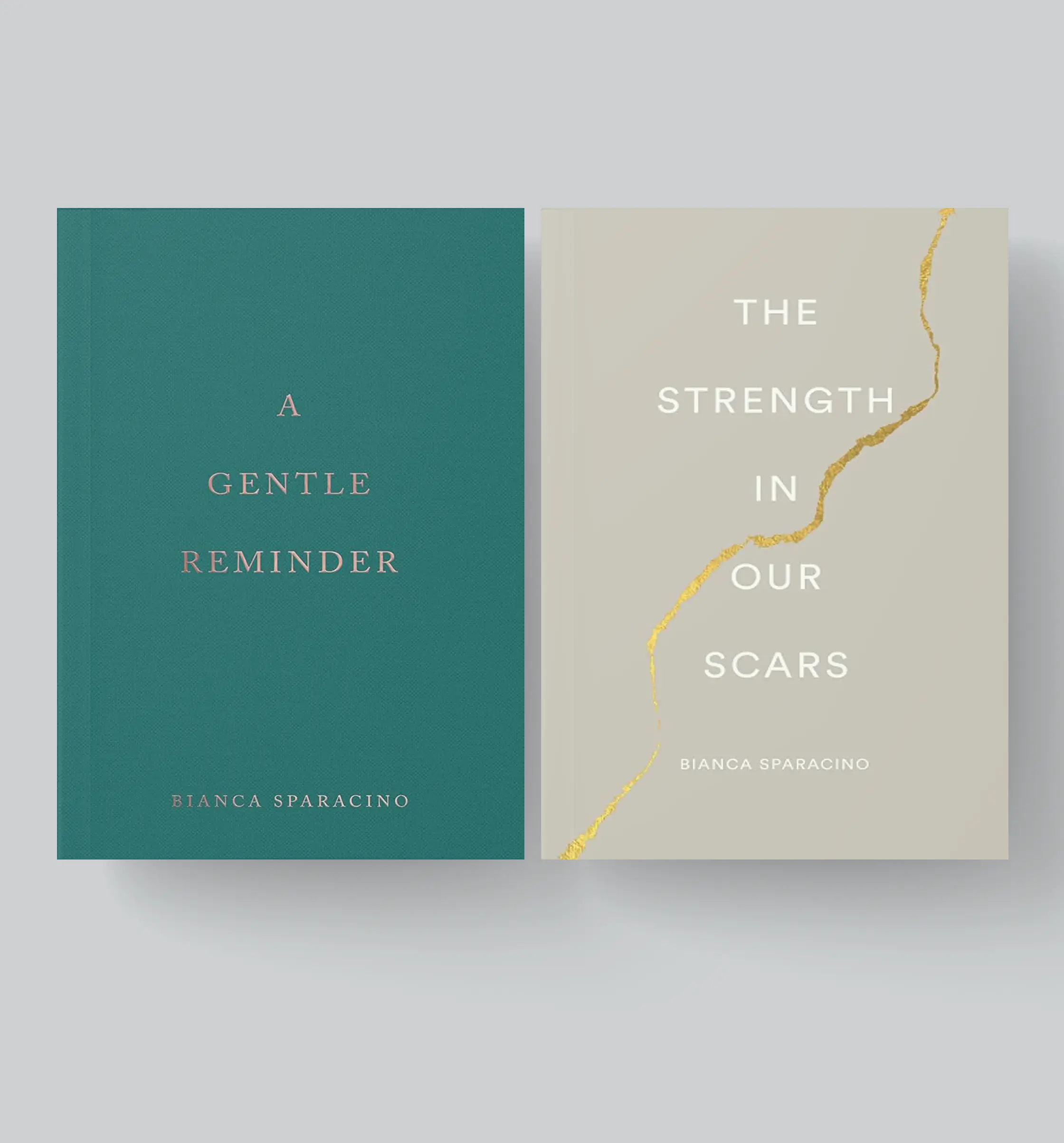 A Gentle Reminder & The Strength in Our Scars by Bianca Sparacino [Authentic Books]