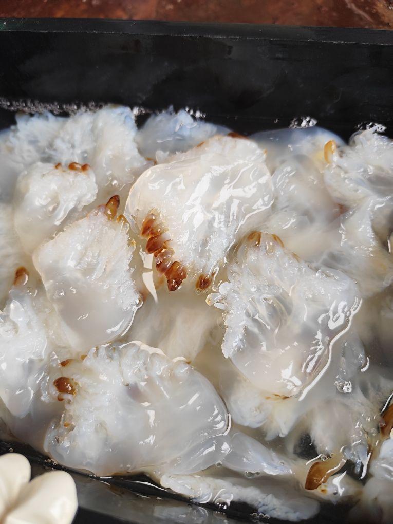 Product Introduction of combo 1kg sứa chân và 1kg sứa mình chưa xả mặn 6