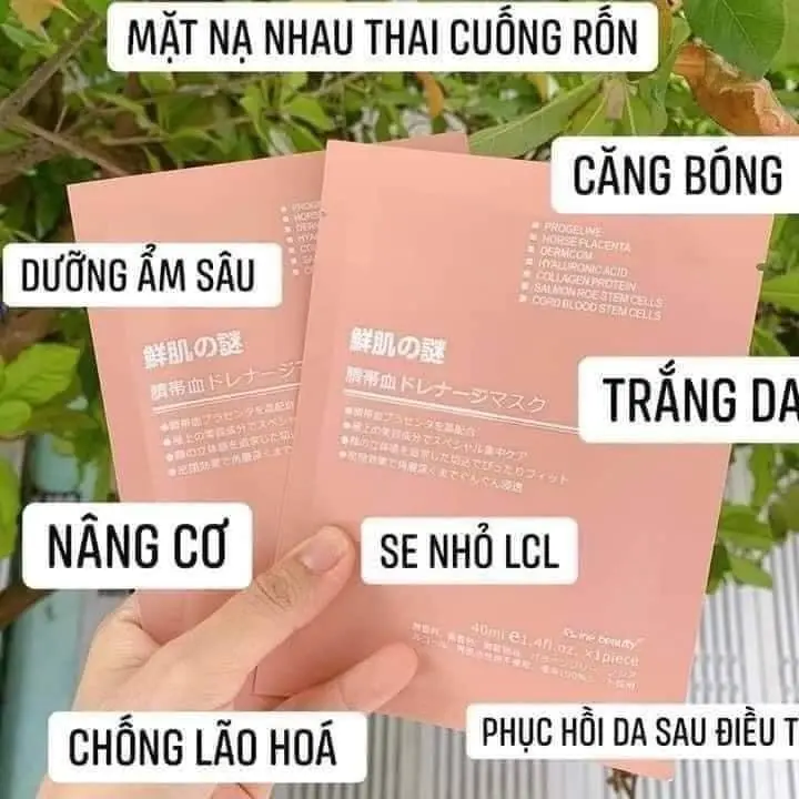 Mặt nạ nhau thai cừu cuốn rốn tế bào gốc