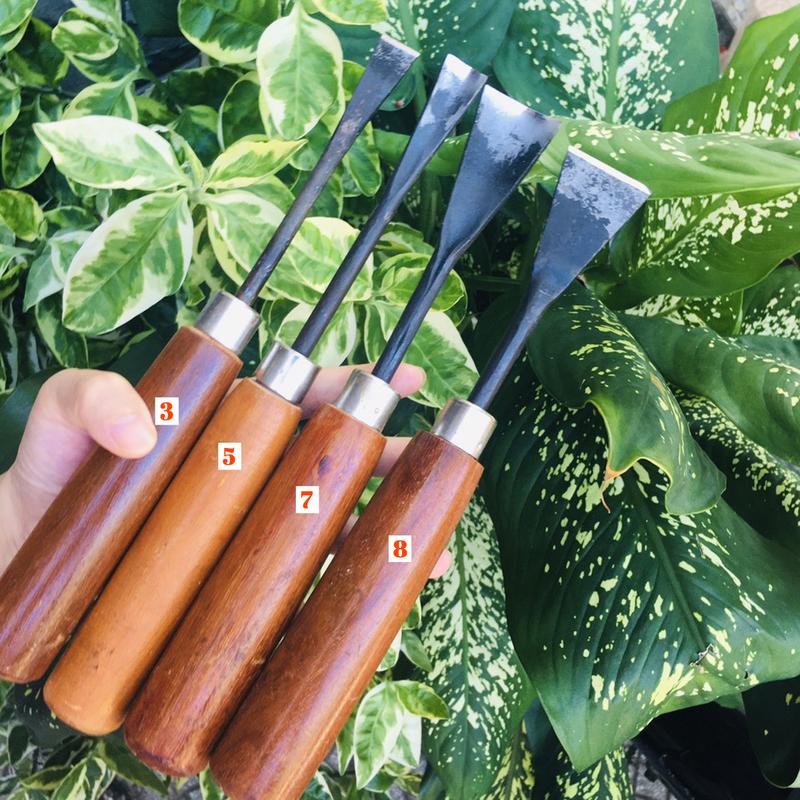 Combo 04 mũi đục bonsai thủ công cao cấp lưỡi vừa 2-3 phân [DUC-013.5.7.8]