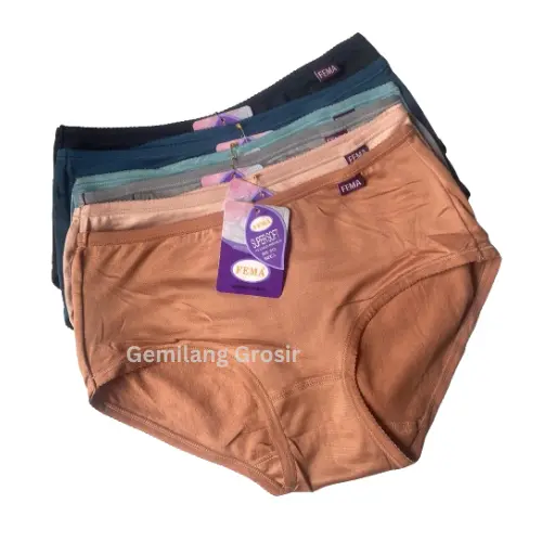 Vennyandykabasca - 12 Pcs Celana Dalam Wanita Fema 313 Polos 3