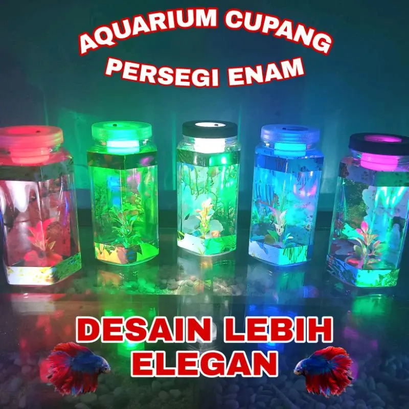 Aquarium ikan cupang hilas Mini fullset Led