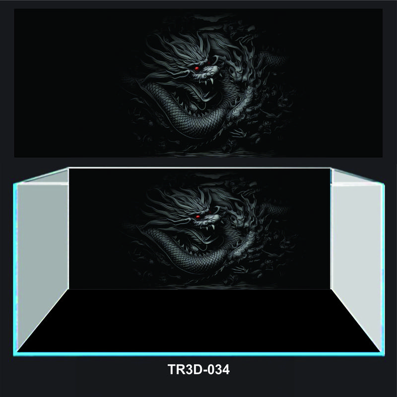 TRANH 3D DÁN BỂ CÁ MẪU TRANH RỒNG GIÀNH CHO HUYẾT LONG TR3D-034