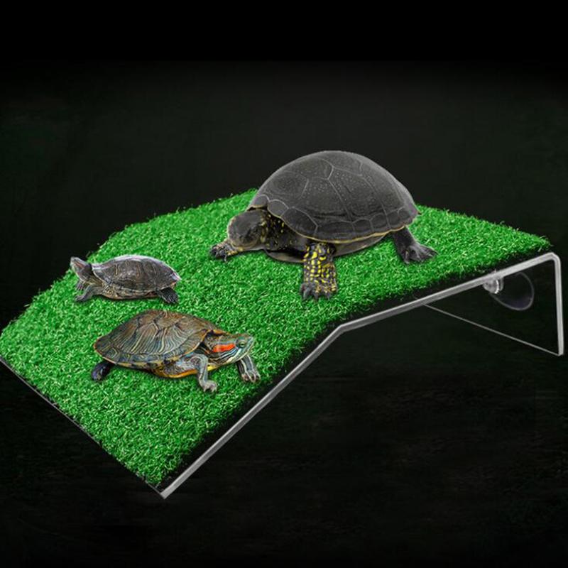 Product Introduction of Turtle Basking Drying Platform Suction Cup Tortoise Climbing for Fish Tank 25