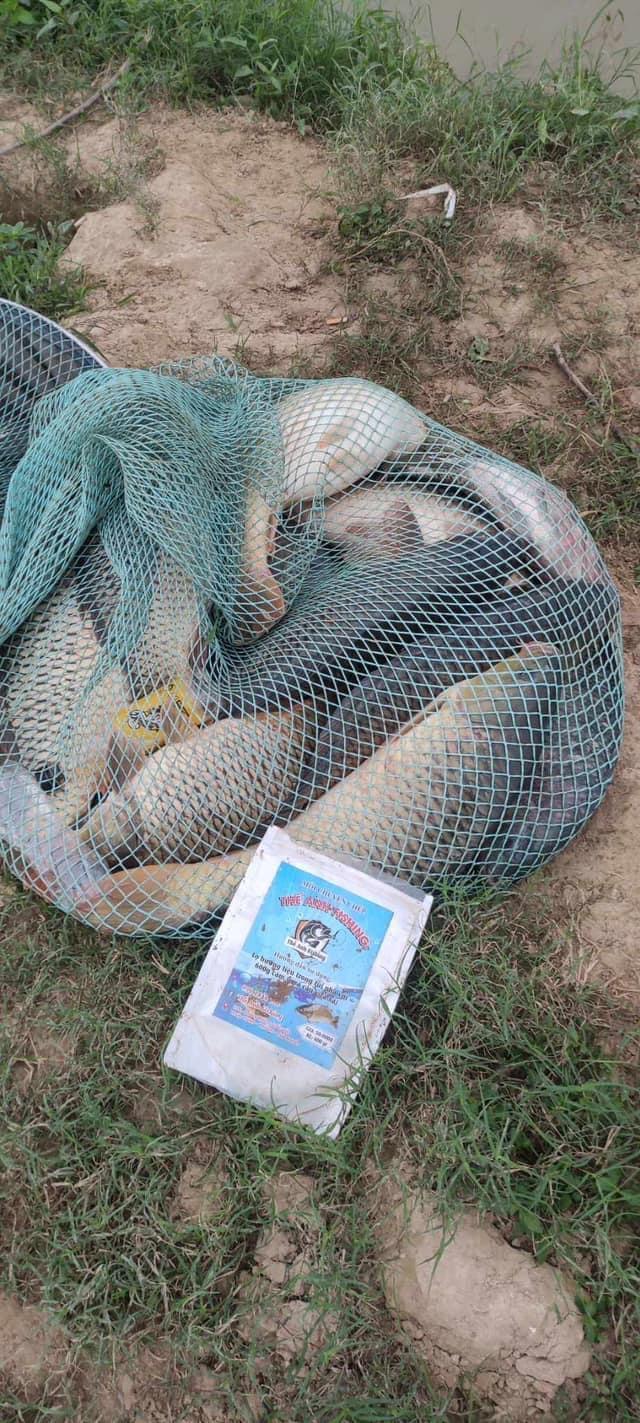 Product Introduction of Cám Chuyên Chép Thế Anh Fishing ( 600g ) bao móm hạng nặng cho anh em câu đài dịch vụ và tự nhiên. Phù hợp với cả chép cũ chép mới . Chép giòn chép thường #cauca #fishing#fish#bigfish#ThếAnhFishing Đi Câu Câu Cá Bắt Cá 26