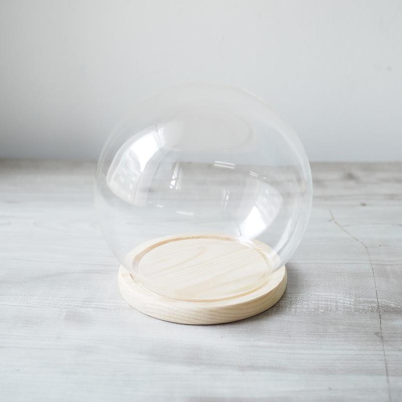 Glass Dome / Large Globe Dome Vase (V18052) / (V20009) 0