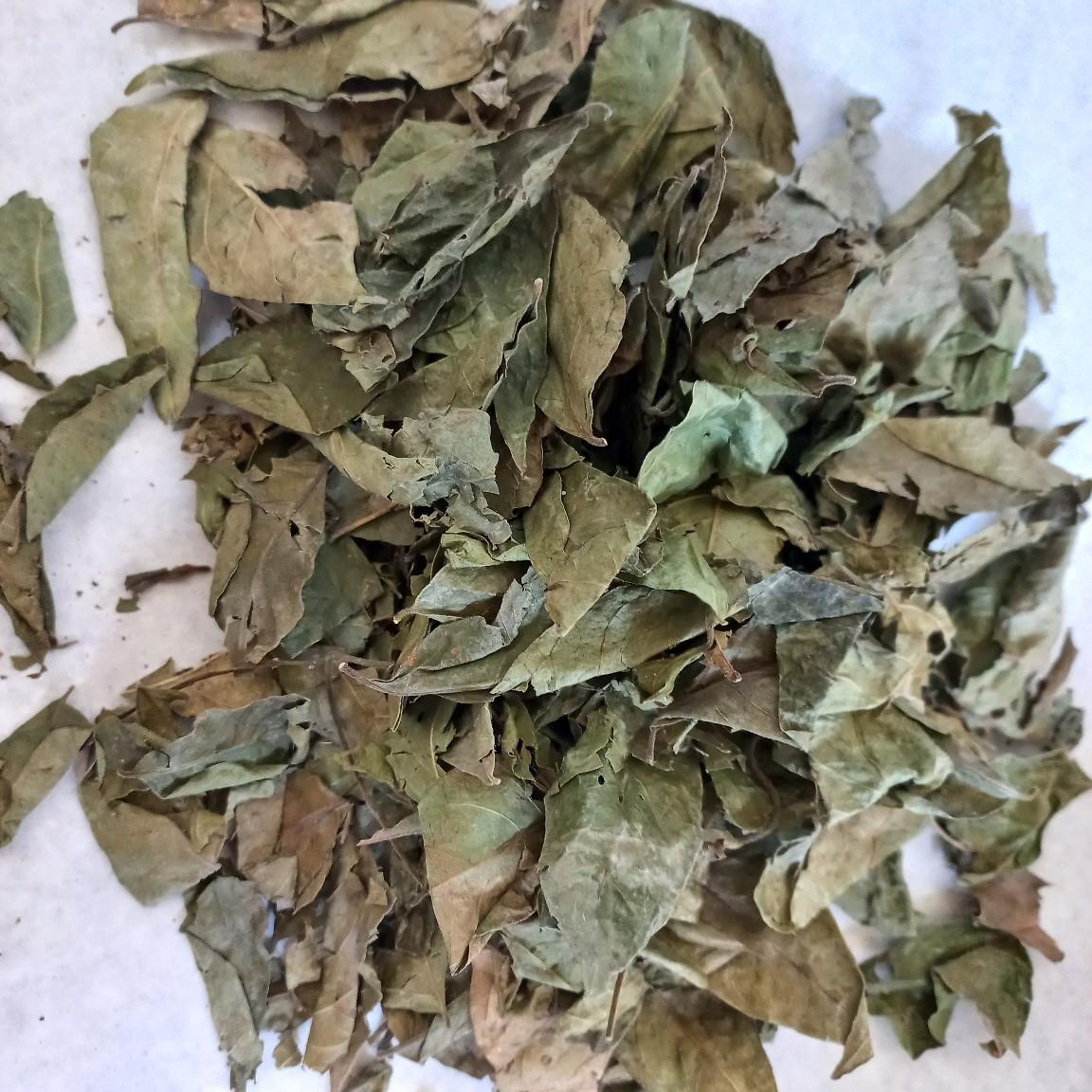 Daun Kari Kering / Daun Salam Koja untuk Rempah Masakan - 50gr