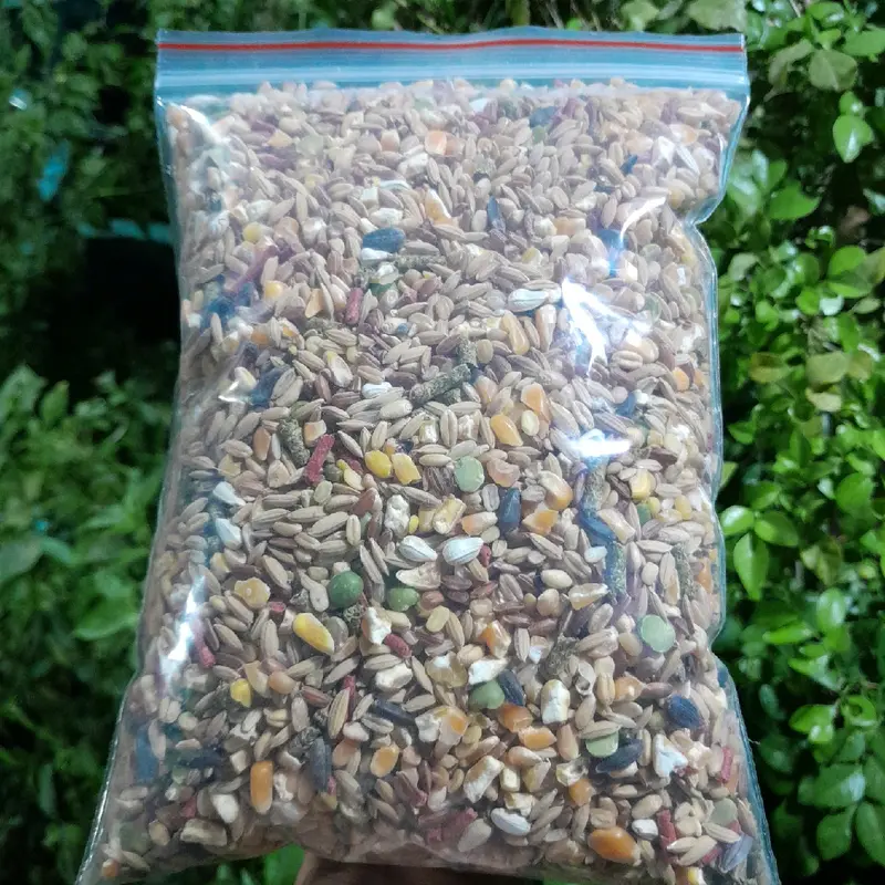 Ngũ cốc dinh dưỡng 1kg dành cho chim cu gáy, bồ câu, gà đá,... 4